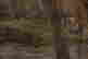 item-134948355=10