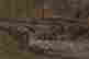 item-134948355=11