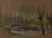 item-134948355=2