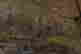 item-134948355=7