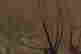 item-134948355=8