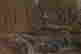 item-134948355=9