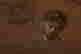 item-134948362=8