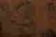 item-134948362=9