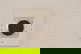 item-210487404=2
