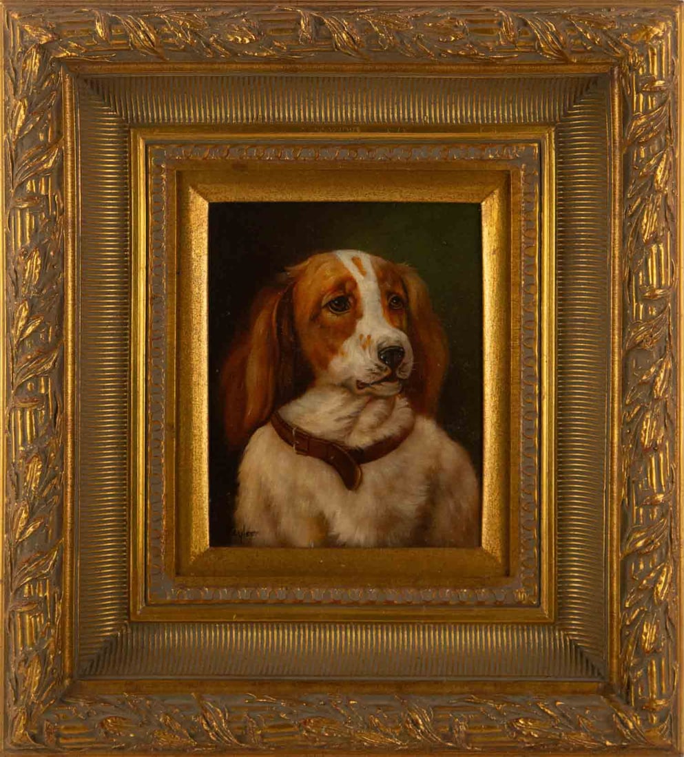 Taylor (19th/20th Century English School ) Animal Oil On Canvas (1 of 11)