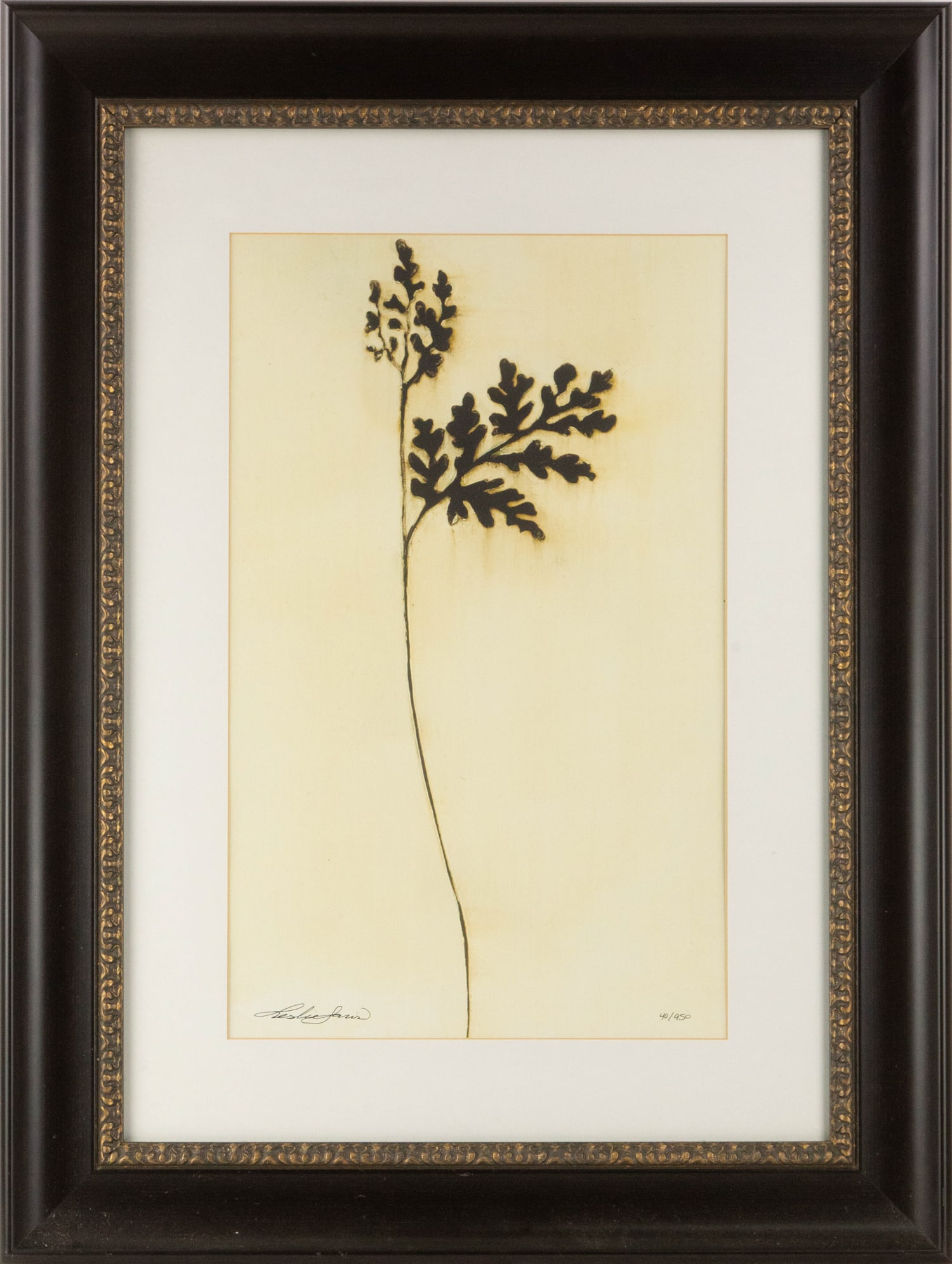 Still Life 40 / 950 Limited Edition Print "Leaf" (1 of 12)