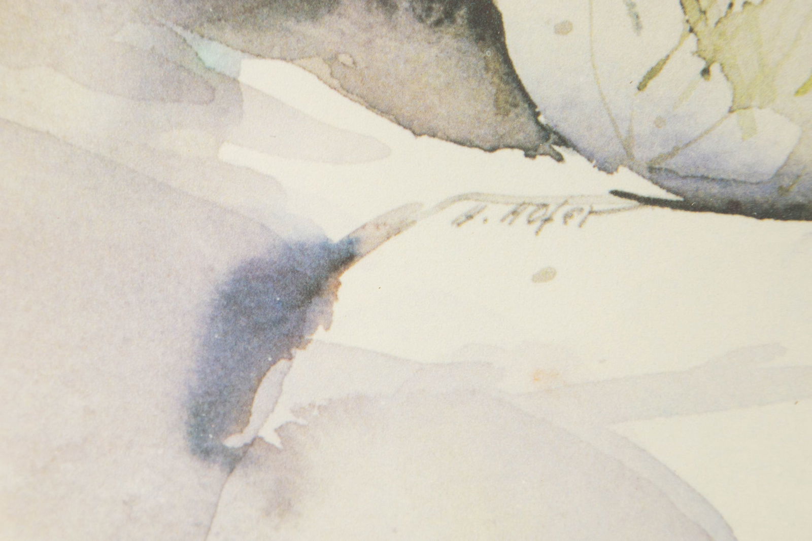 Heinz Hofer ( B.1946 ) "" Print Still Life - 10