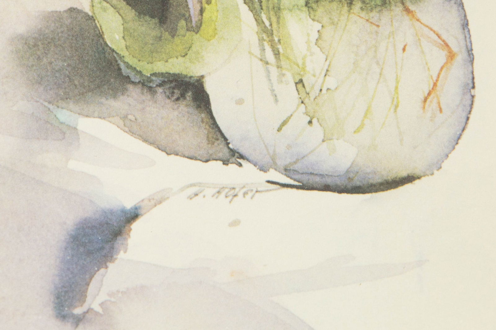 Heinz Hofer ( B.1946 ) "" Print Still Life - 7