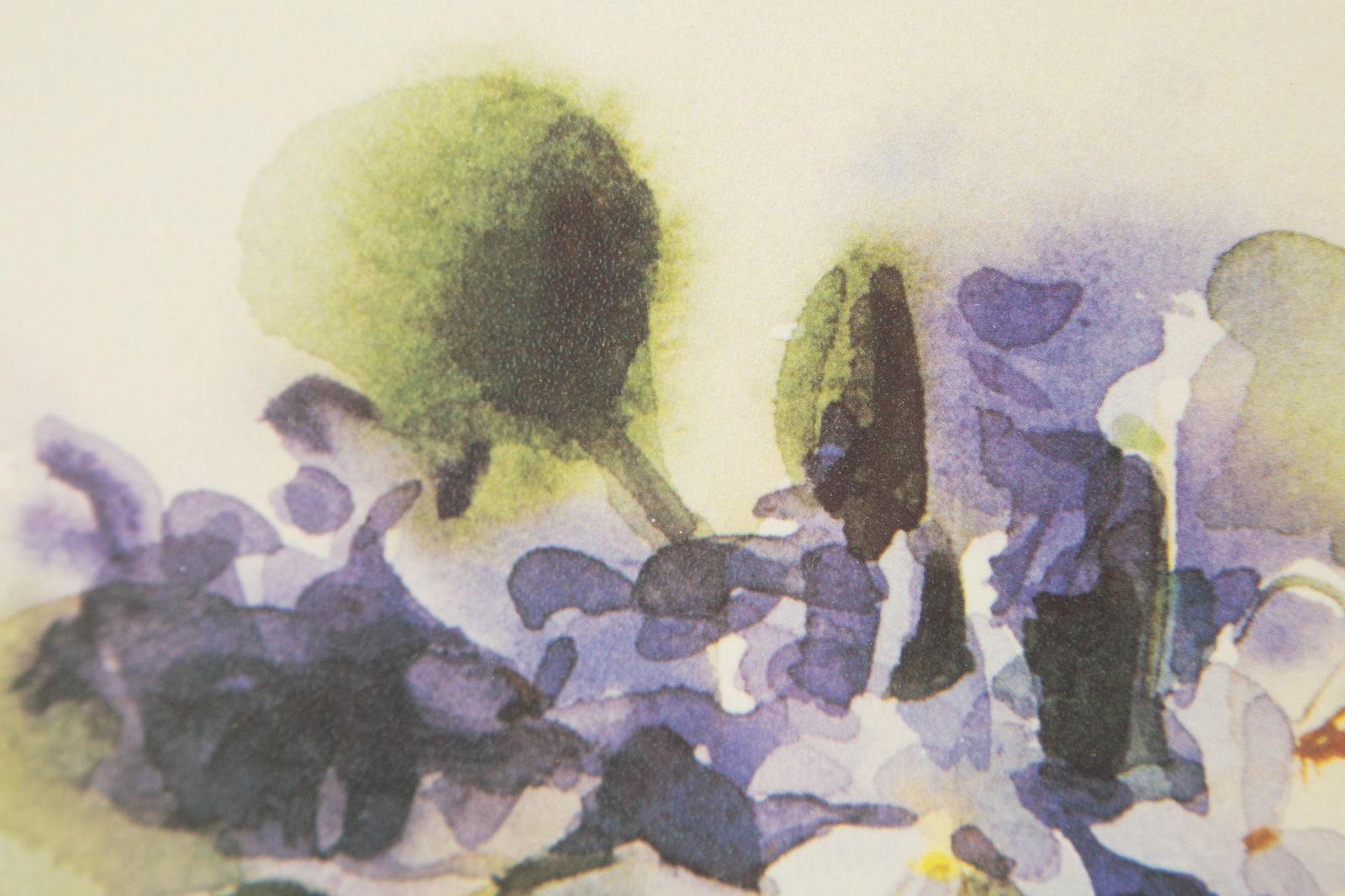 Heinz Hofer ( B.1946 ) "" Print Still Life - 8