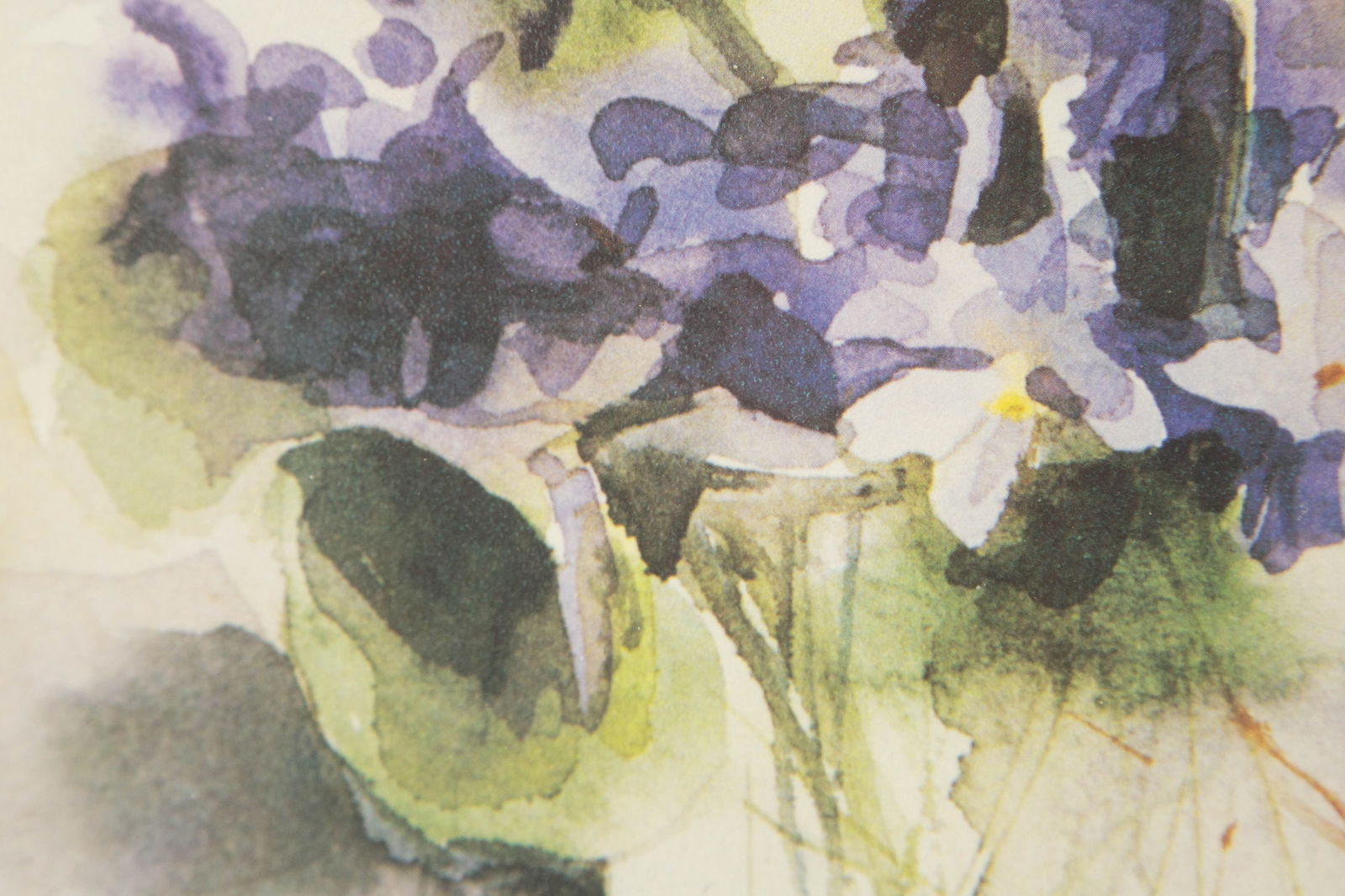 Heinz Hofer ( B.1946 ) "" Print Still Life - 9