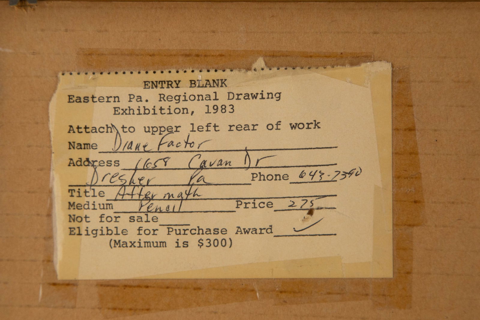 Diane Factor Portrait Graphite "After Math" - 13