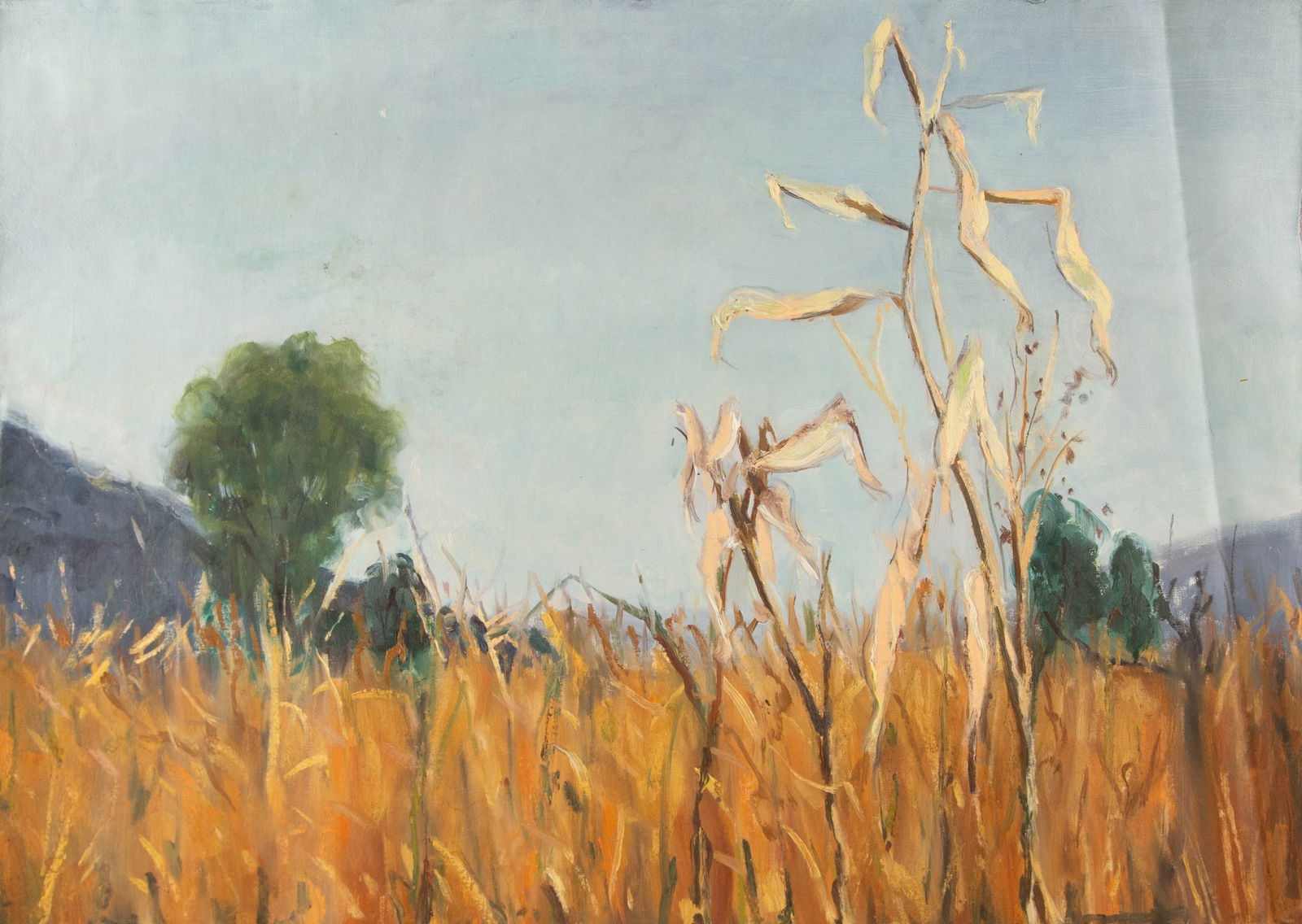 Lei Wang Landscape Original Oil On Canvas "Tail Grasses " (1 of 13)