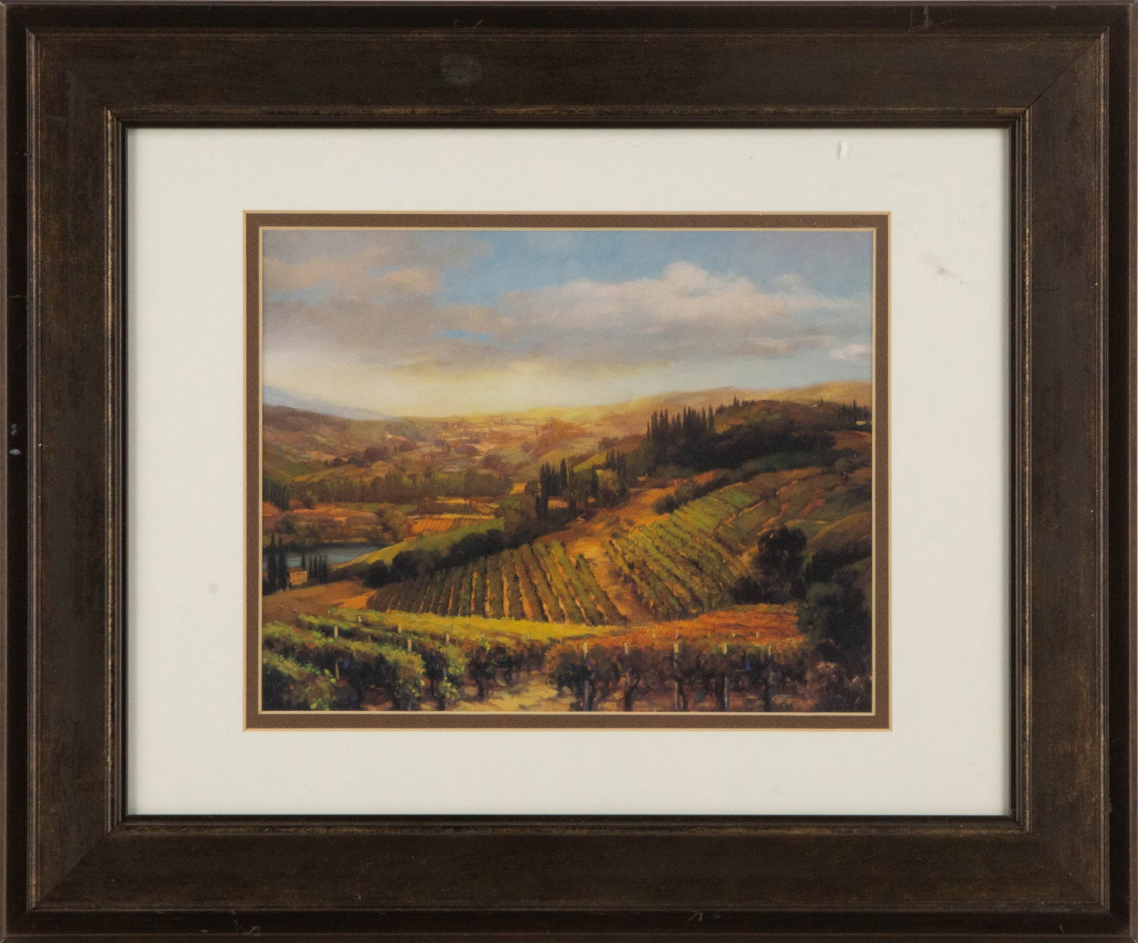 Jennie Tomao Landscape Print "Vineyard View II": Title: Vineyard View II Medium: Print Painting Size: 7.5" x 9.5" Frame Size: 14.5" x 17.5" Condition: This artwork is in good overall condition for its age. Signature: Unsigned Artist: Jennie Tomao Bi