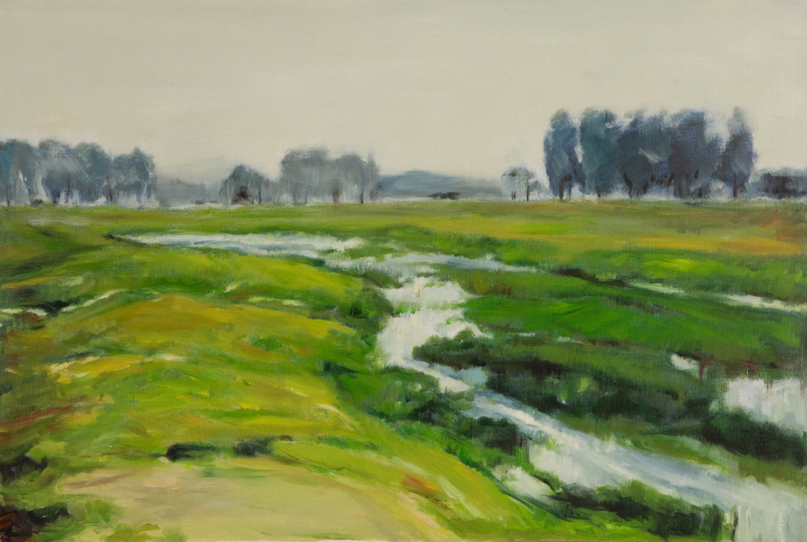 Xin Li Impressionist Original Oil On Canvas "Marshland": Title: Marshland Medium: Oil on canvas Size: 16 x 23 inches Frame: Framing options available! Condition: The painting appears to be in excellent condition. Note: This painting is unstretched,shipped r