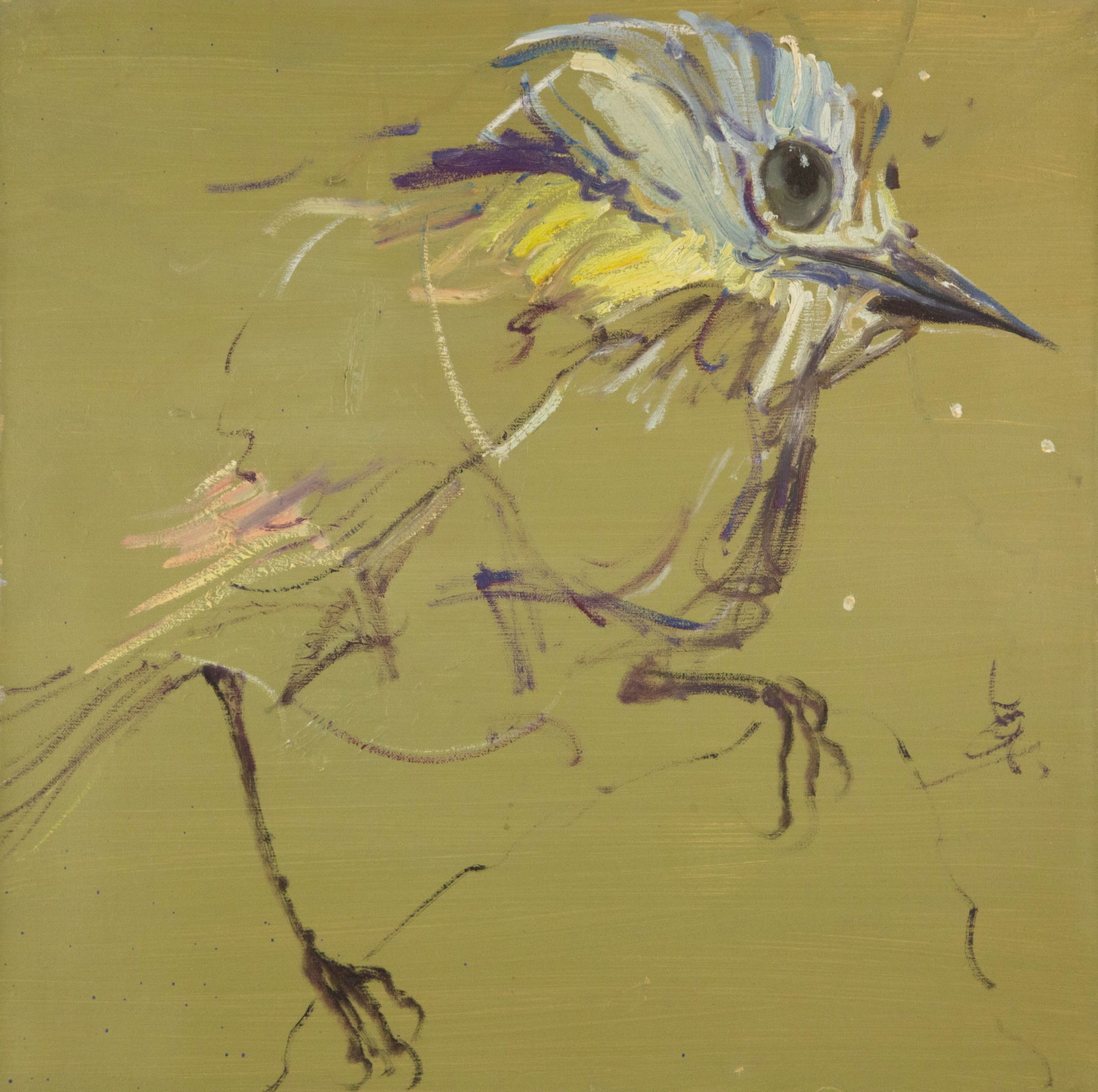 Zhuo Ii Animal Original Oil On Canvas "Bird - Olive Green": Title: Bird - Olive Green Medium: Oil on canvas Size: 19 x 19 inches Frame: Framing options available! Condition: The painting appears to be in excellent condition. Note: This painting is unstretched,