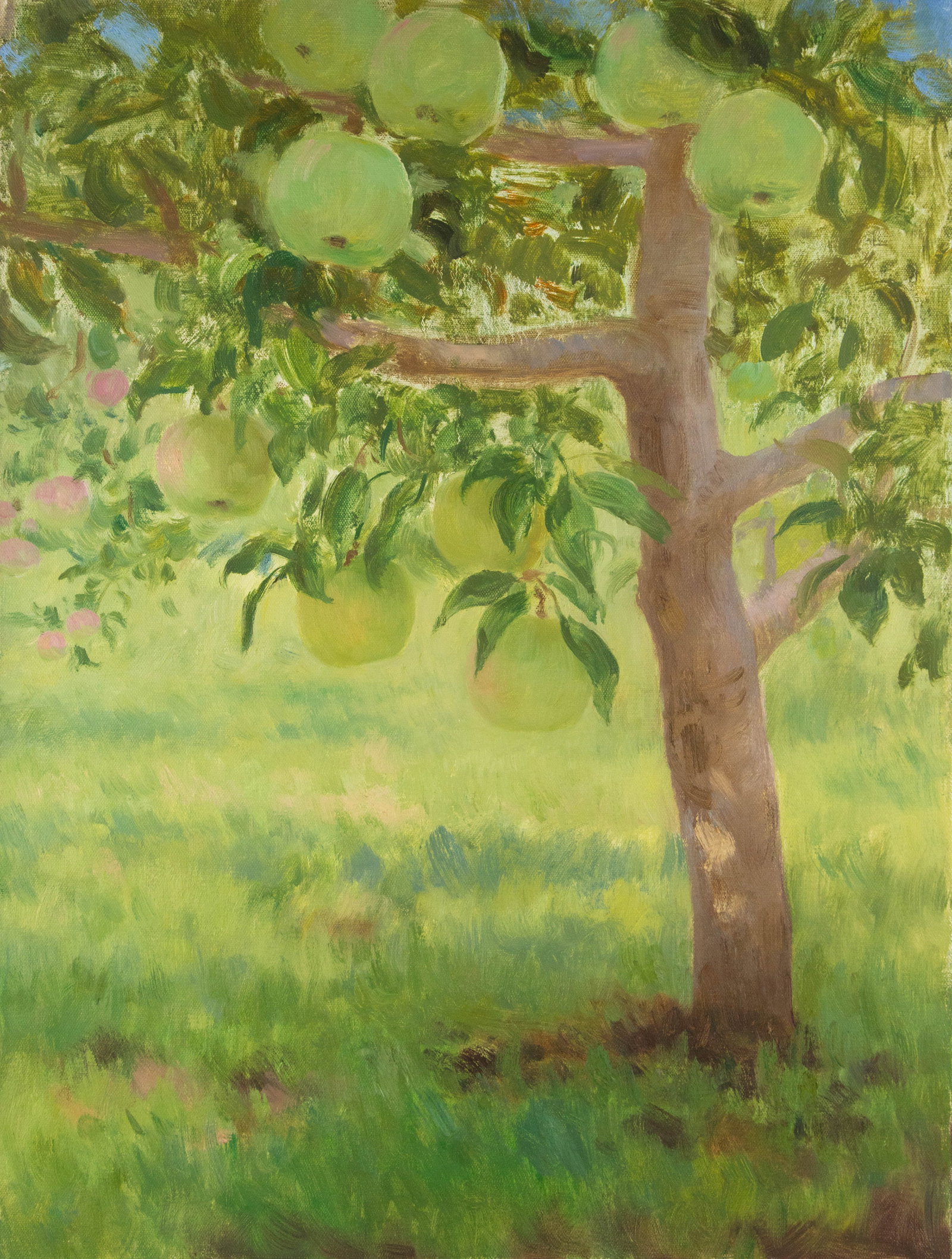 YueHui Zhang Contemporary Original Oil On Canvas "Orchard - Pomelo": Title: Orchard - Pomelo Medium: Oil on canvas Size: 31 x 23 inches Frame: Framing options available! Condition: The painting appears to be in excellent condition. Note: This painting is unstretched,sh