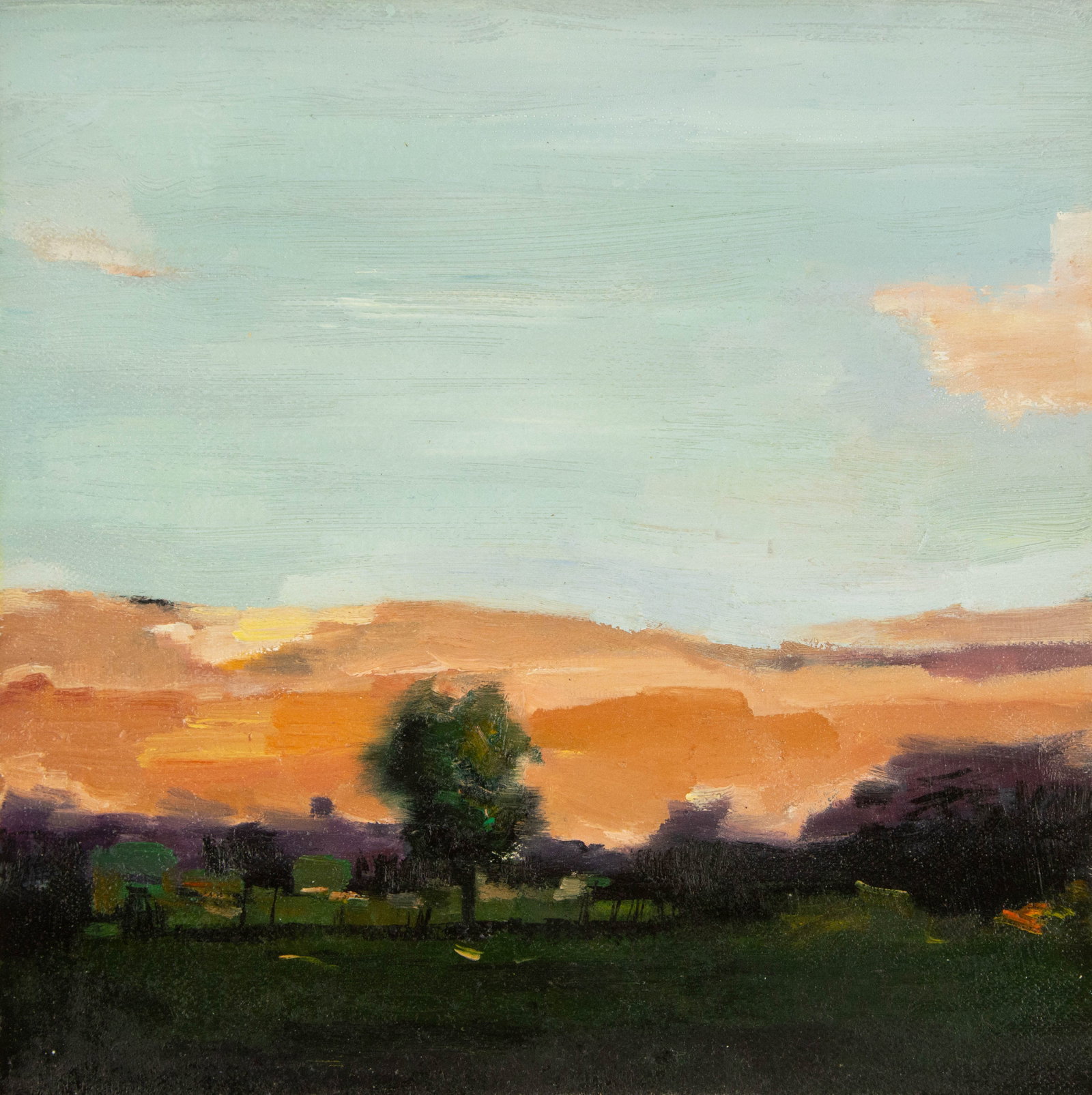 Yingying Cui Landscape Original Acrylic On Canvas "Sunset Glow": Title: Sunset Glow Medium: Oil on canvas Size: 12 x 12 inches Frame: Framing options available! Condition: The painting appears to be in excellent condition. Note: This painting is unstretched,shipped