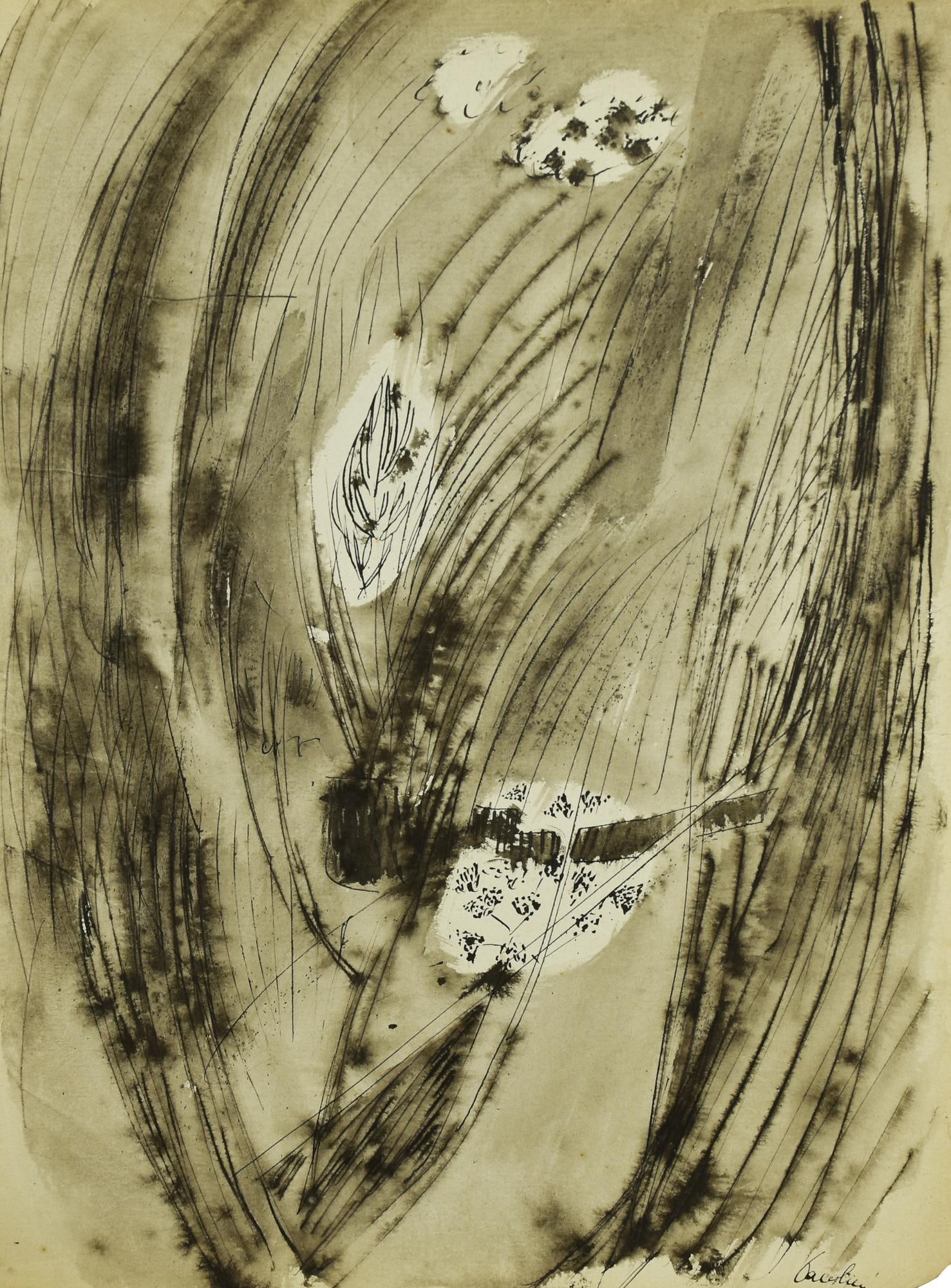 Enrico Paulucci SPIGHE DI GRANO, 1953: Enrico Paulucci(1901 - 1999)SPIGHE DI GRANO, 1953inchiostro su carta, cm 43x31firmaL'opera e' accompagnata da certificato di autenticita' dell'Archivio Paulucci su fotografia