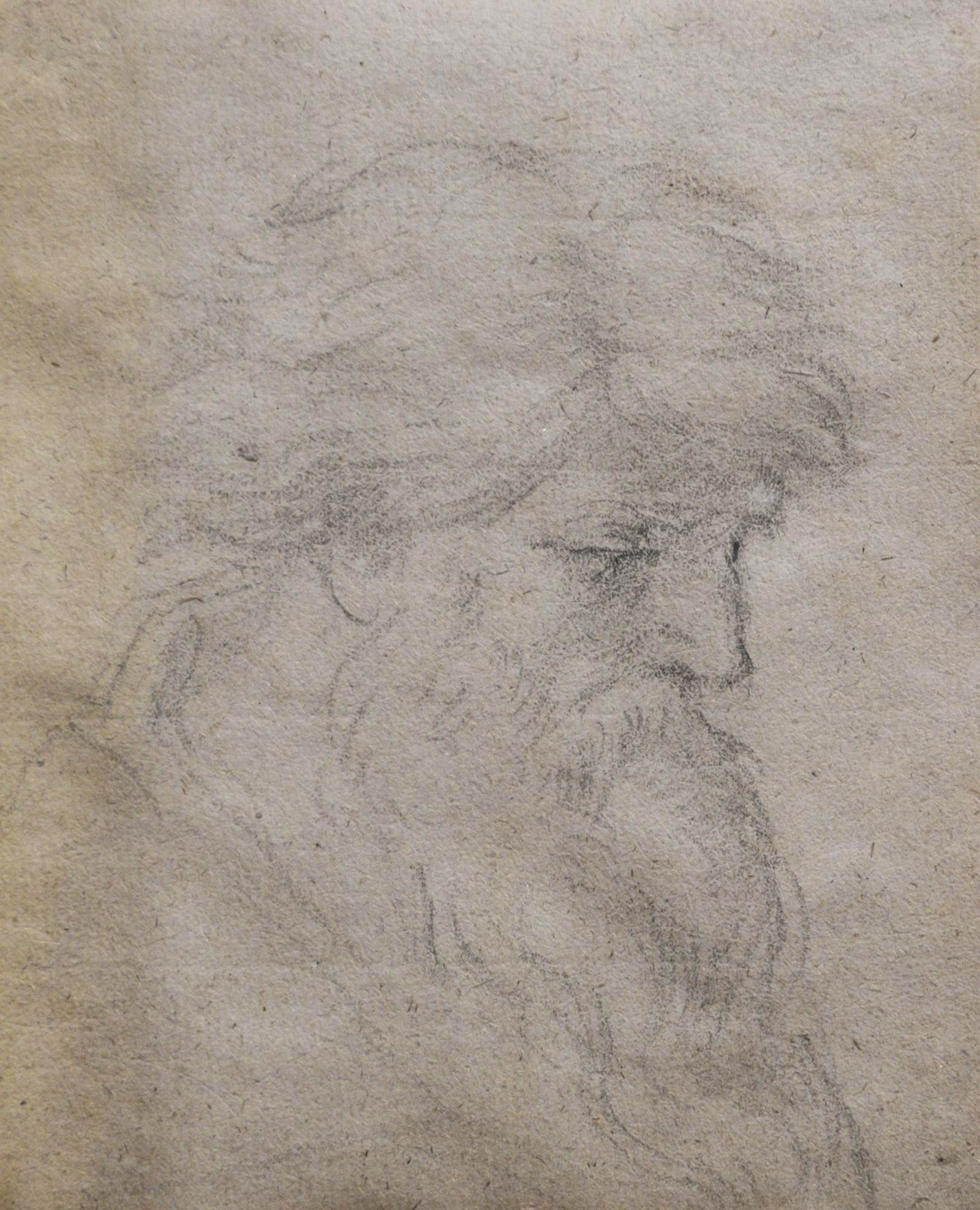 ambito di Ciro Ferri RITRATTO VIRILE: ambito di Ciro Ferri RITRATTO VIRILEmatita su carta, cm 15,5x13