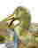 item-86602246=4