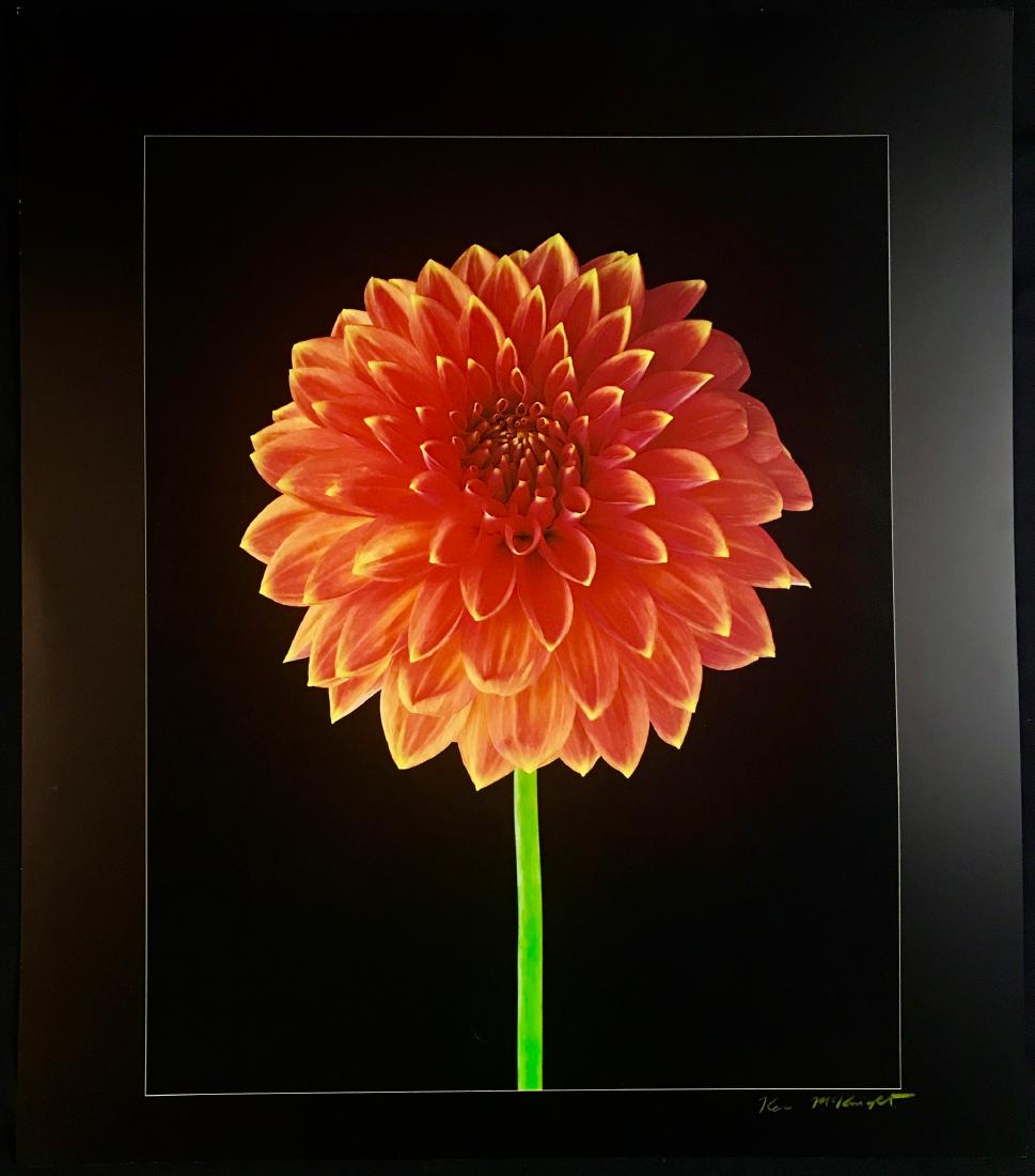 Ken McKnight (1 of 3)