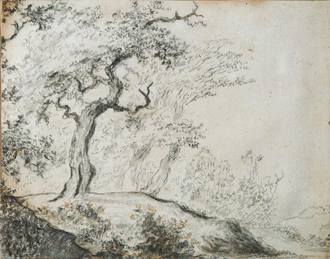 Dutch School, 17th Century, Oak Forest: Dutch School, 17th Century, Oak Forest Black chalk ink and wash on paper laid down on paper 18 x 22.3 cm Provenance: Collection of Prof. J. Leski
