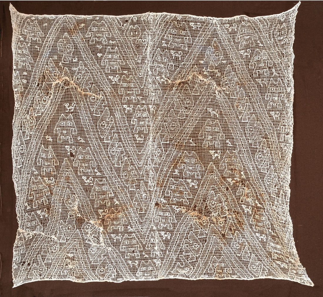 A Chancay Veil - Open Space Fabrics (Lace) Birds Fish and Small Felines, Peru, Late Intermediate (1 of 1)