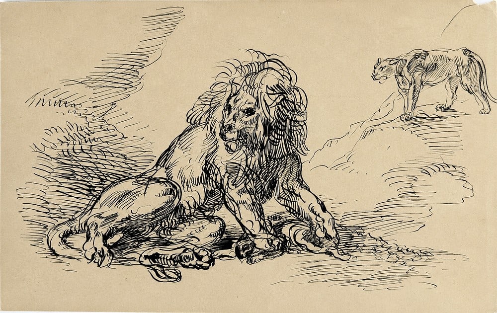 Attributed to Eug?¨ne Delacroix (1798-1863), Lion Study (1 of 2)
