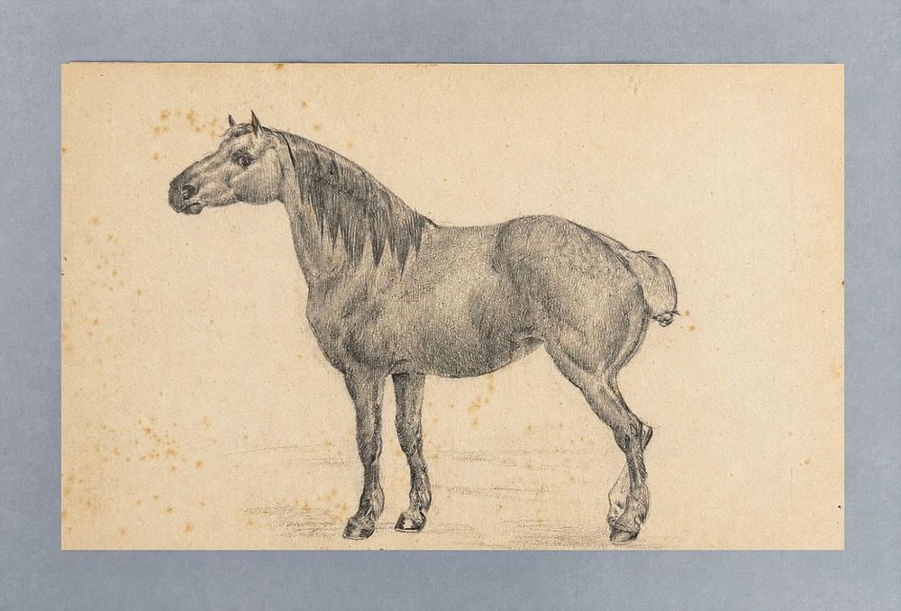 Attributed to Theodore Gericault (1791-1824), Horse: Pencil on paper Inscribed on the reverse Dimensions: 12.5 × 19.5 cm Provenance: Private collection of Jean-Philippe Ghaen, France </