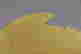 item-98039986=2