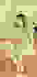 item-57023360=2