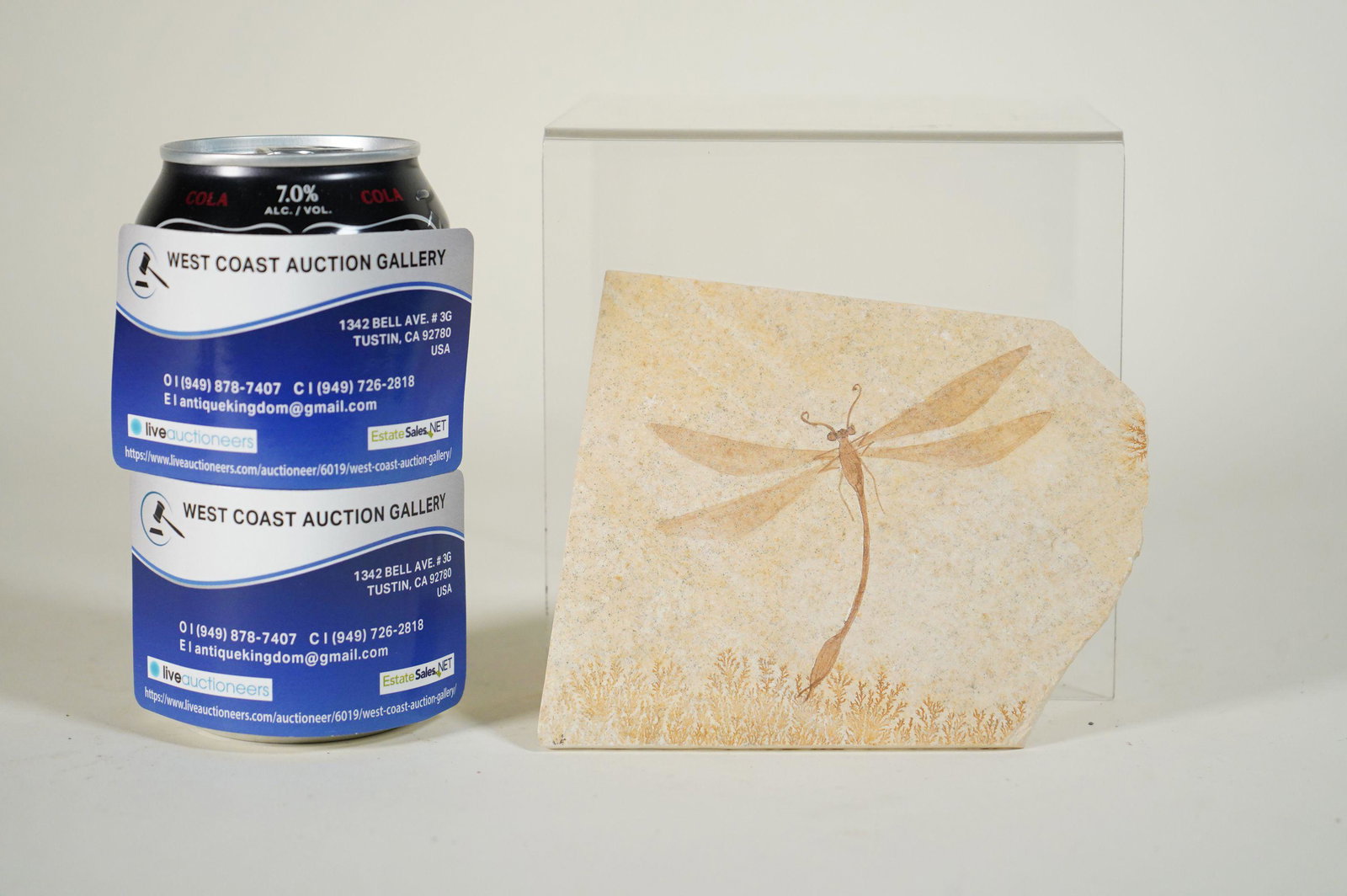 A dragonfly fossil specimen: A dragonfly fossilized specimen. H: 4.75" x W: 4"