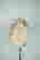 item-130739018=4