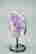 item-130739018=6