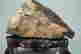 item-130739042=3