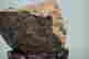 item-130739042=5