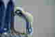 item-131946090=6