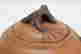 item-131946151=3