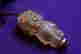 item-131946169=8