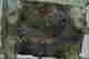 item-131946256=9