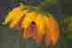 item-131946308=5