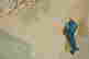 item-131946321=6