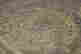 item-133479821=4