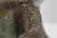 item-133479821=8