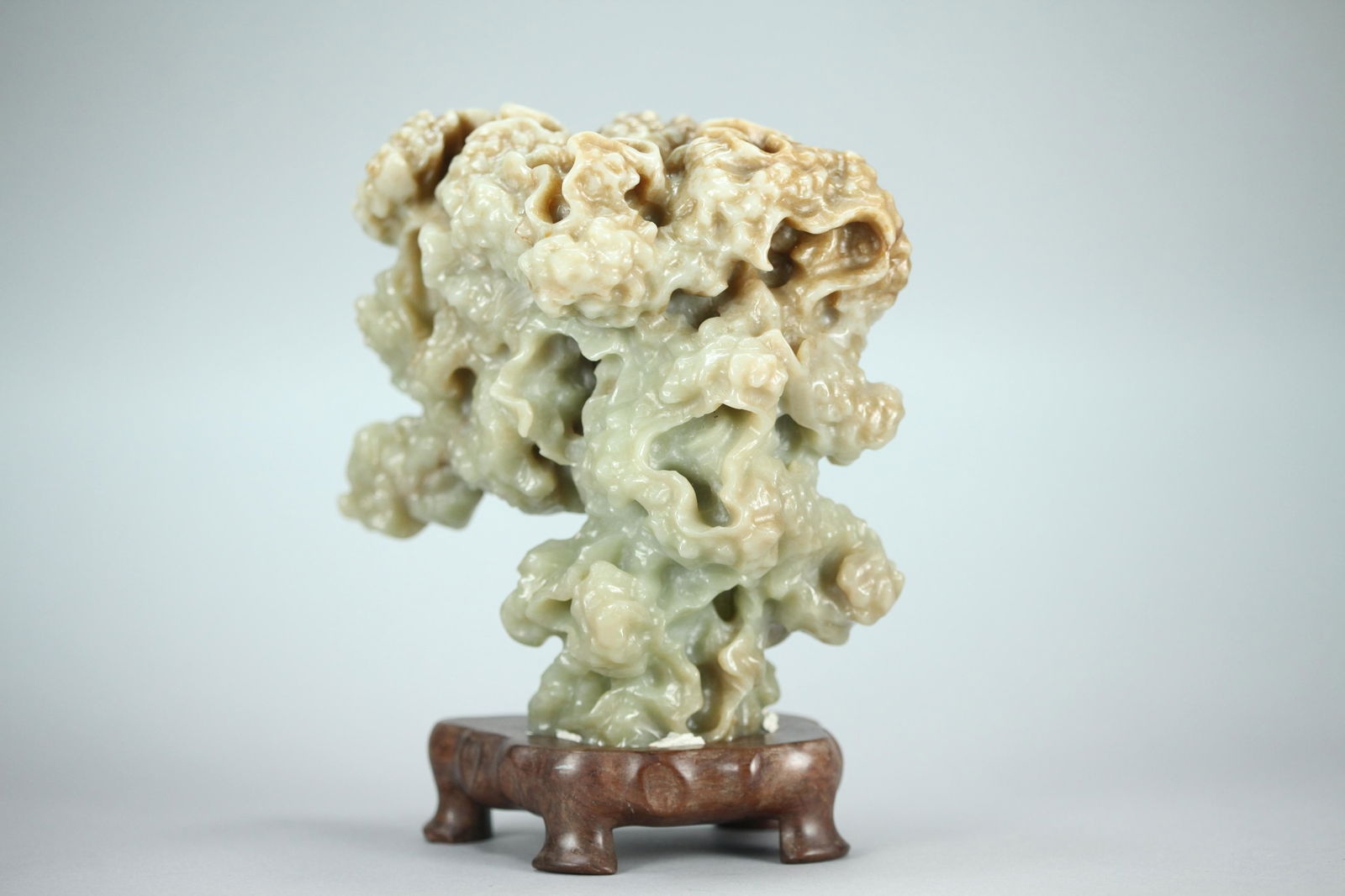 Chinese large jade tree (1 of 7)