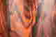 item-133479913=4