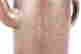 item-137098011=3