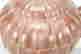 item-137098012=3