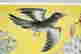 item-137098066=5